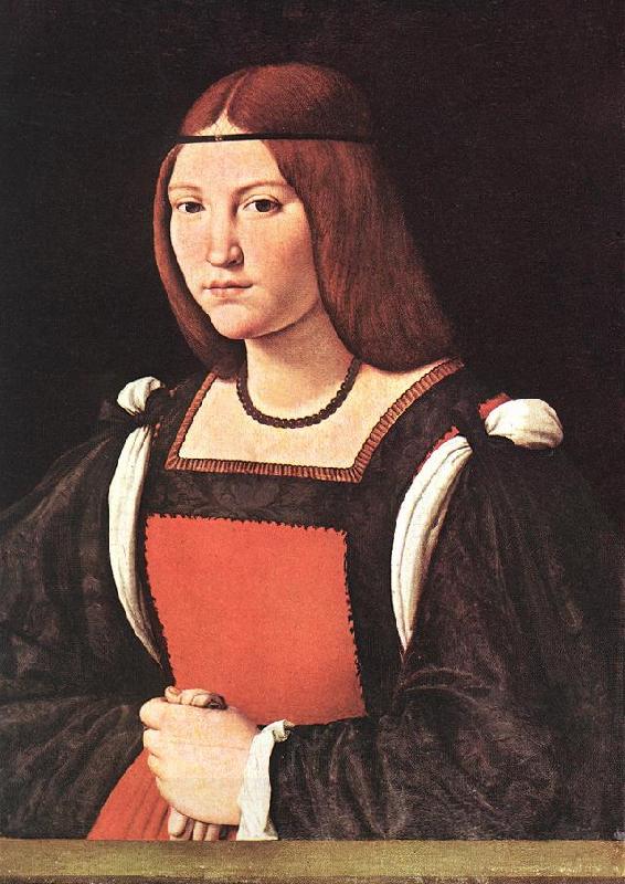 BOLTRAFFIO, Giovanni Antonio Portrait of a Young Woman 55 China oil painting art